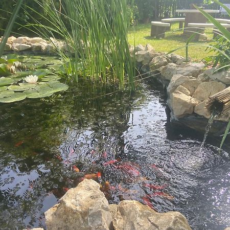 Lelle-Kert Apartman 01 Balatonlelle Zewnętrze zdjęcie