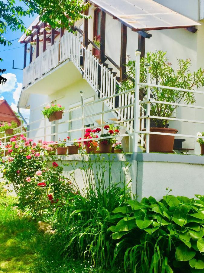 Lelle-Kert Apartman 01 Balatonlelle Zewnętrze zdjęcie